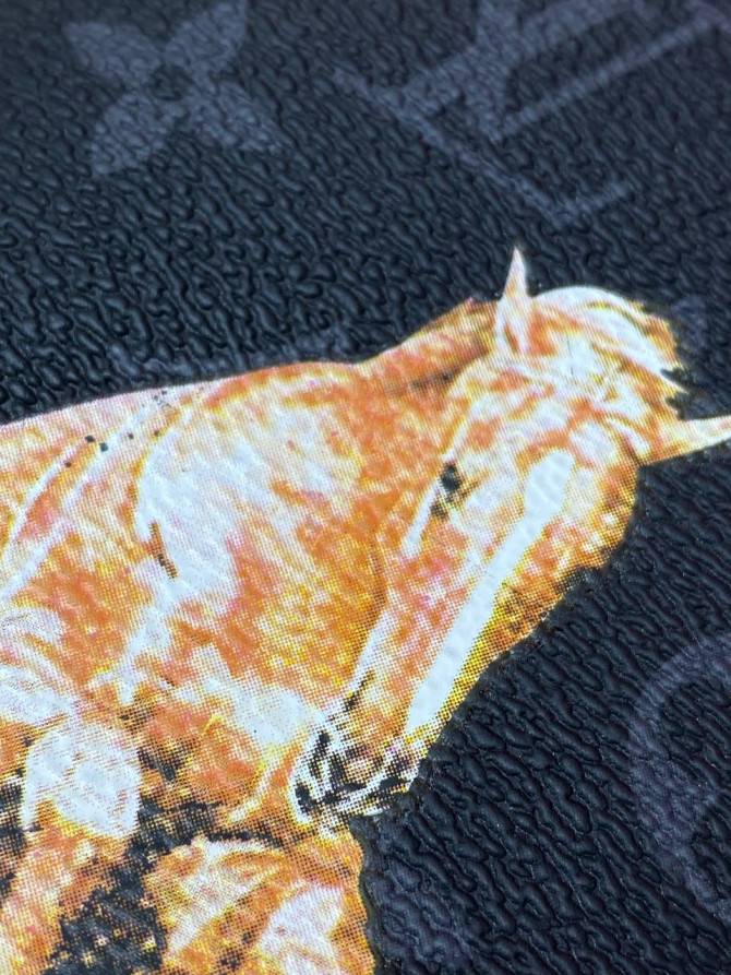 Обложка для паспорта Louis Vuitton — изображение 2