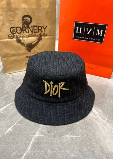 Панама Dior