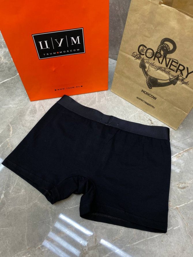 Трусы Balmain — изображение 9