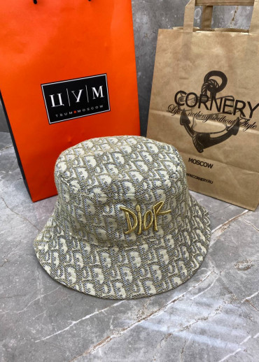 Панама Dior