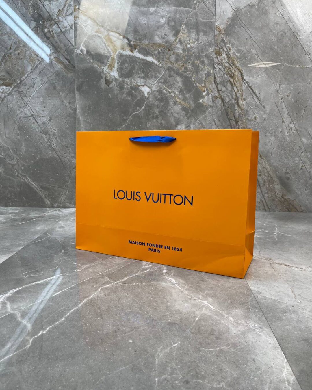 Пакет Louis Vuitton — изображение 6