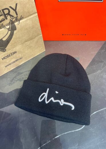 Шапка Dior