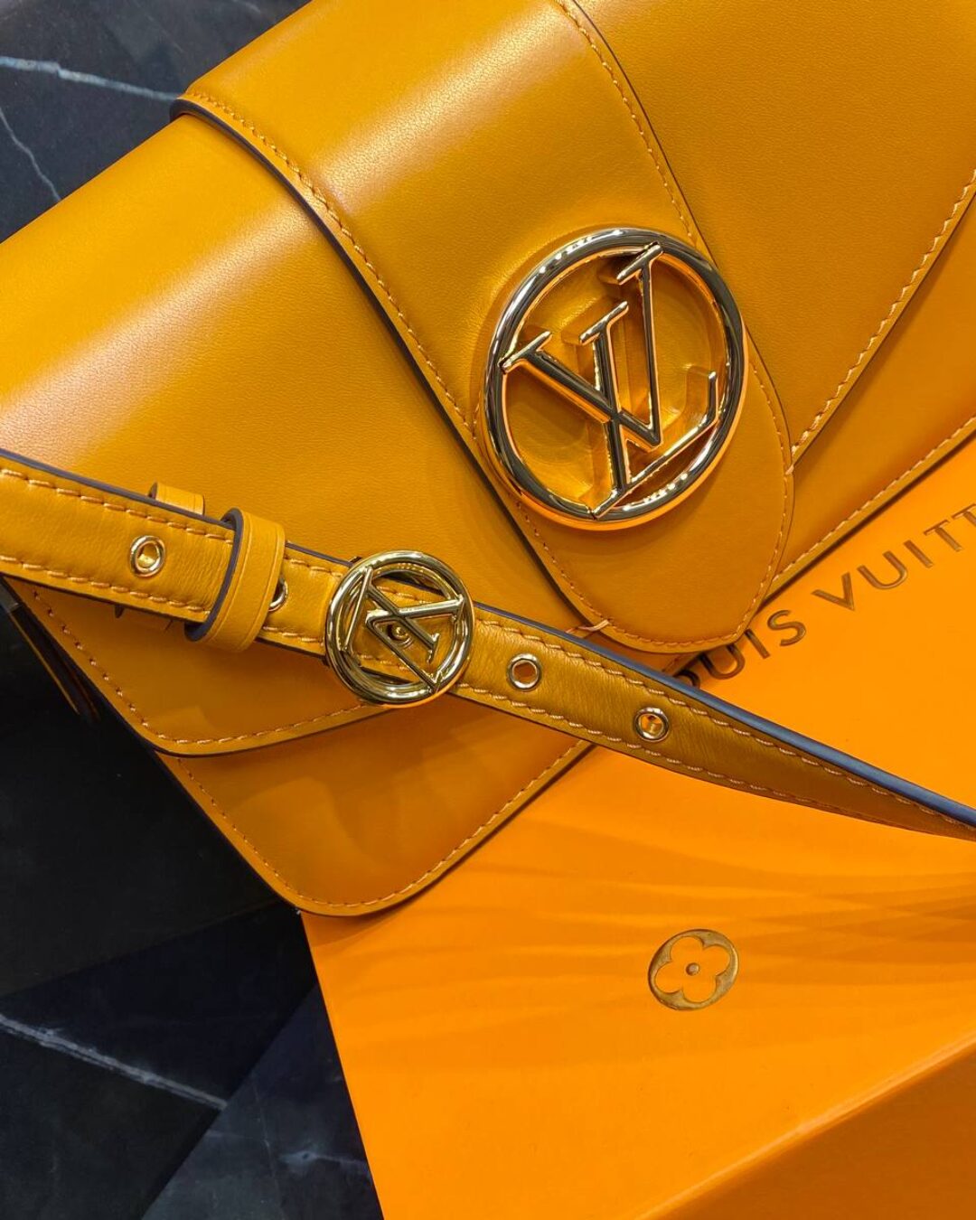 Сумка Louis Vuitton Pont 9 Soft MM — изображение 3