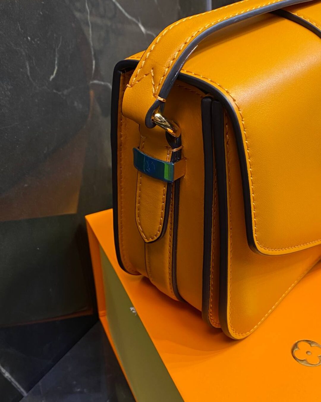 Сумка Louis Vuitton Pont 9 Soft MM — изображение 2
