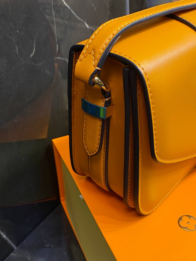 Сумка Louis Vuitton Pont 9 Soft MM — изображение 2