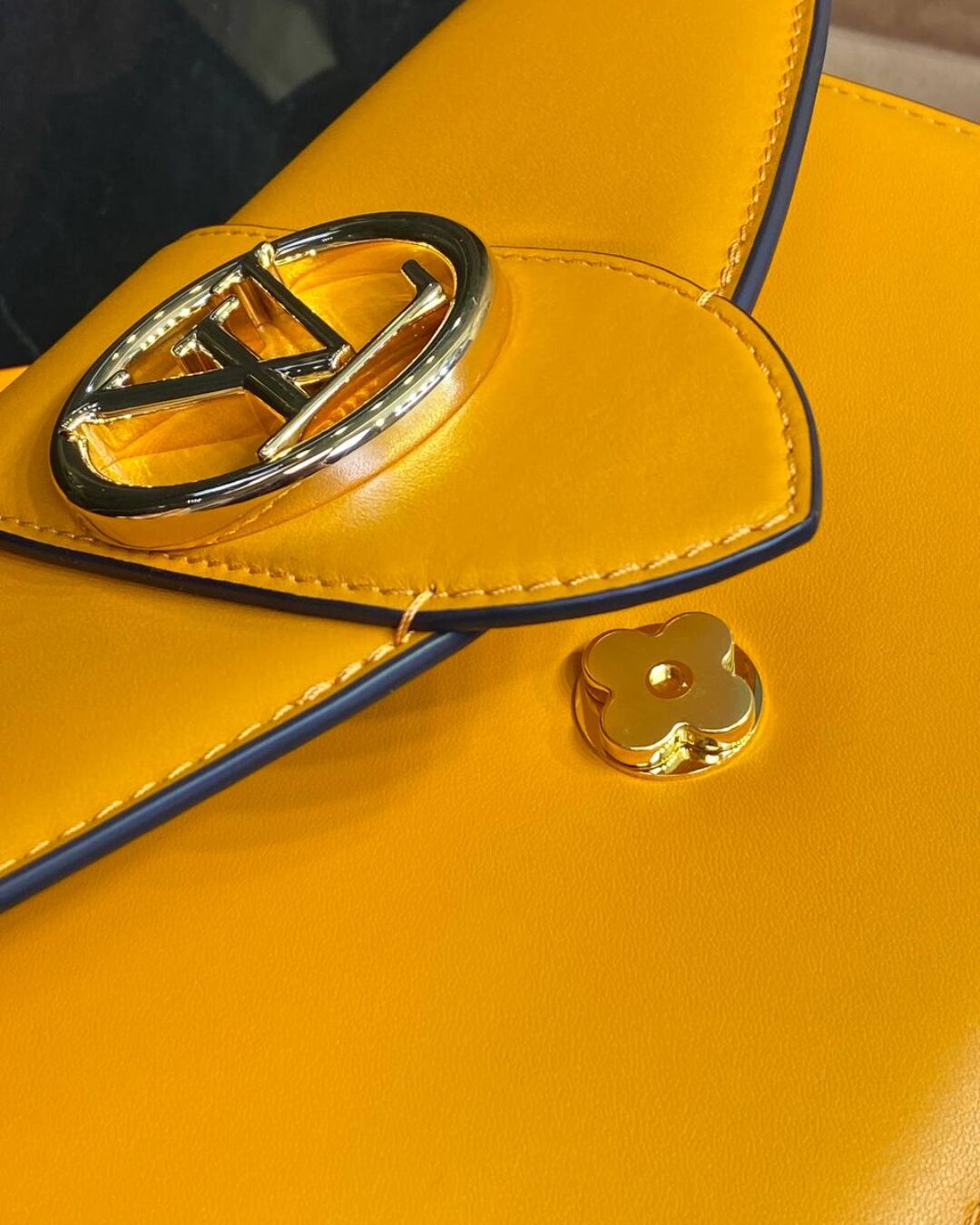 Сумка Louis Vuitton Pont 9 Soft MM — изображение 5