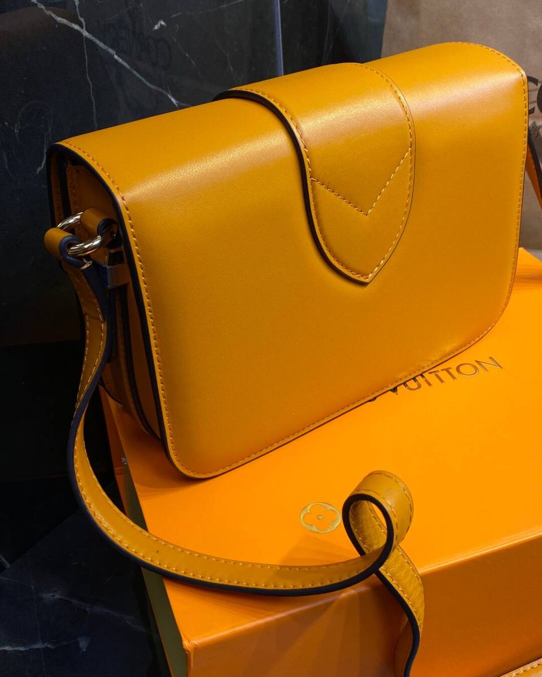 Сумка Louis Vuitton Pont 9 Soft MM — изображение 8