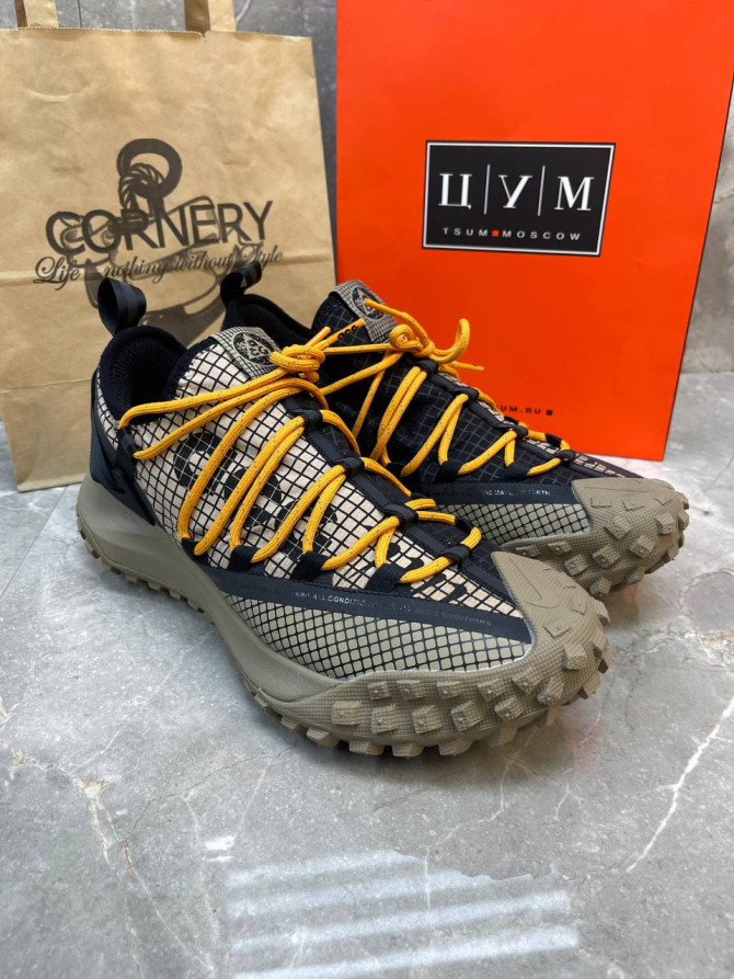Кроссовки Nike ACG Mountain Fly Low Fossil Stone Black