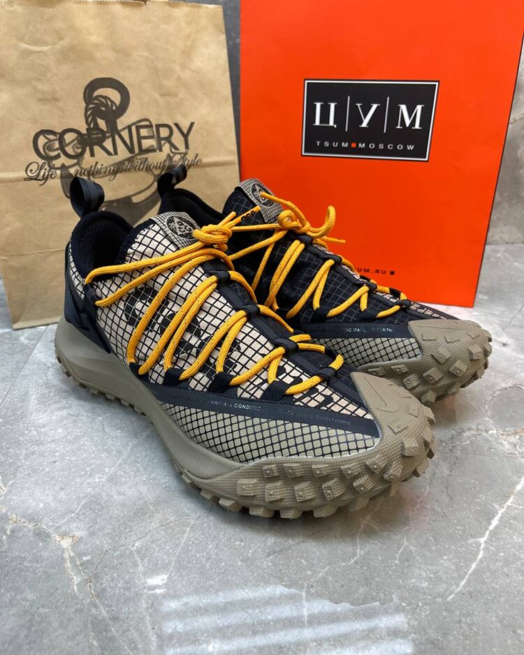 Кроссовки Nike ACG Mountain Fly Low Fossil Stone Black — фото 1
