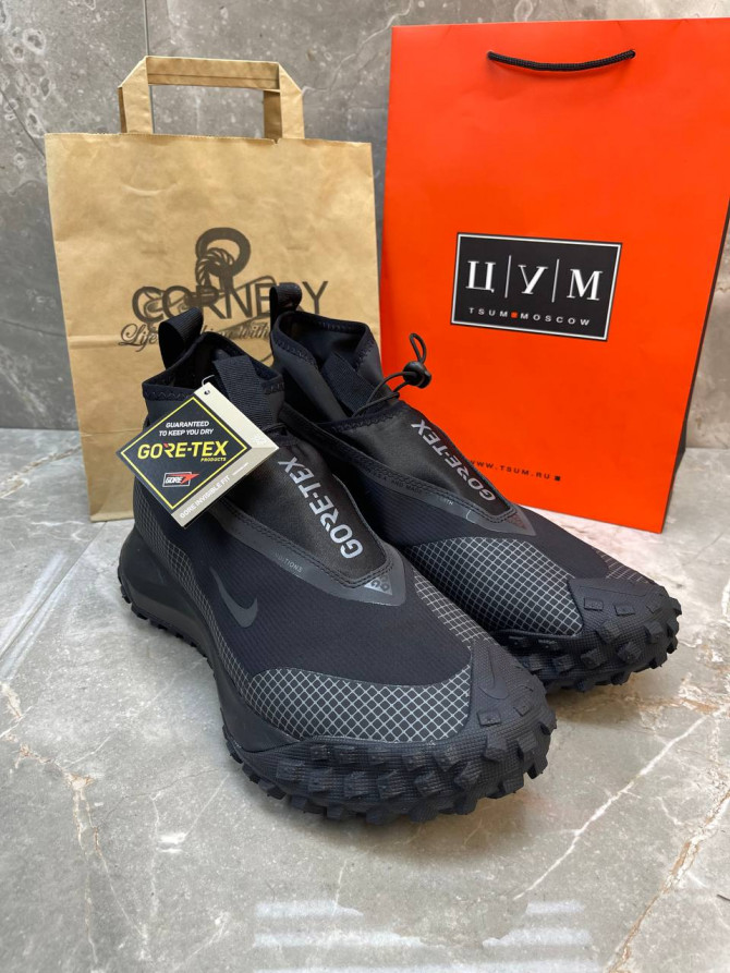 Кроссовки Nike ACG Mountain Fly Gore-Tex