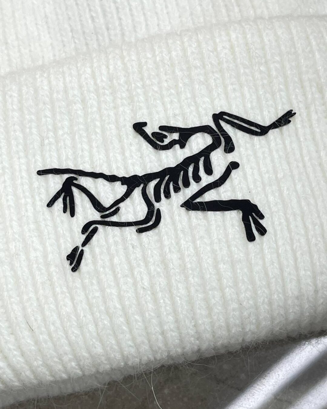 Шапка Arcteryx — изображение 3