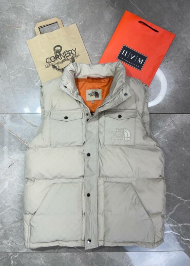 Жилет The North Face x Gucci
