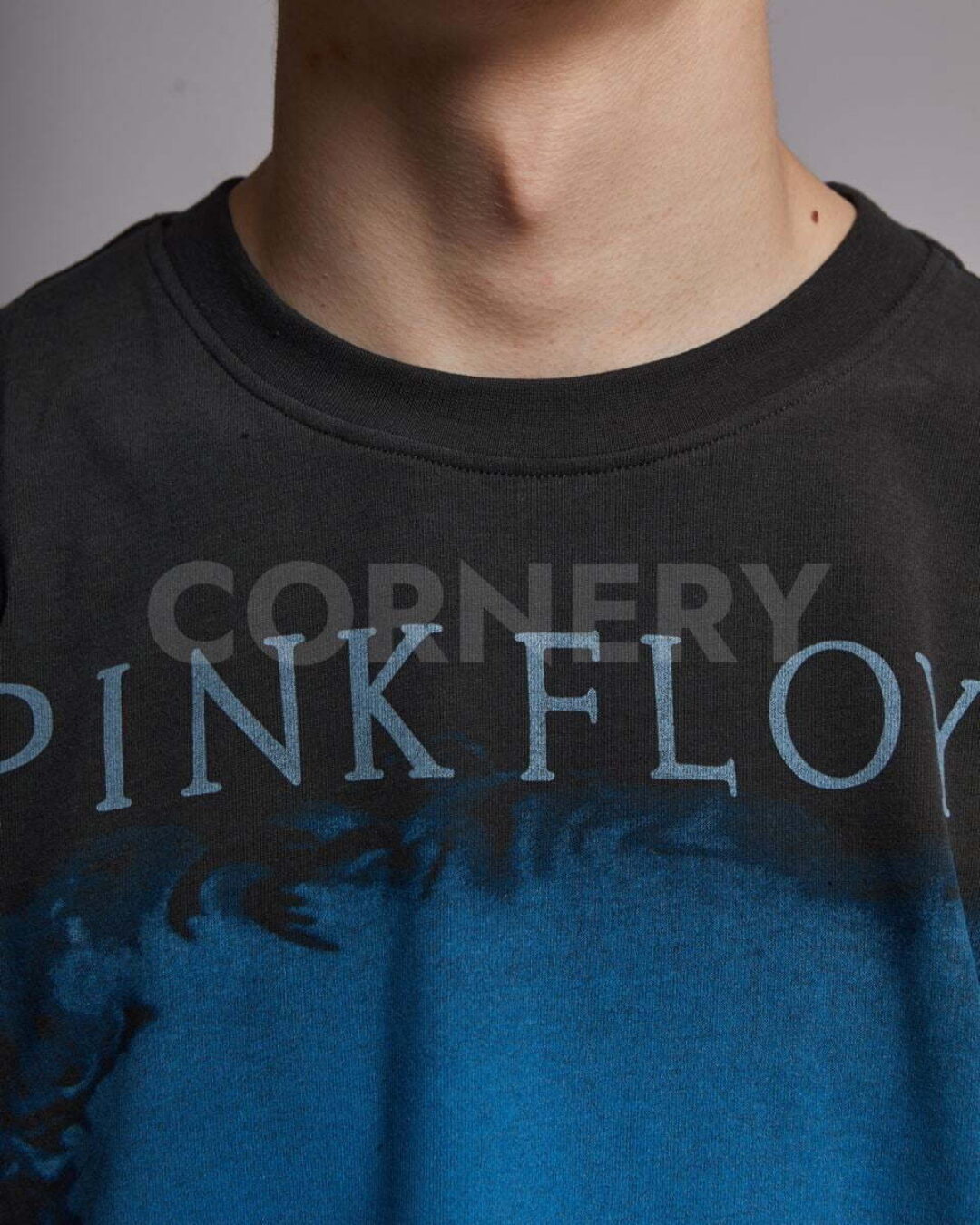 Футболка Winterland Pink Floyd — изображение 8