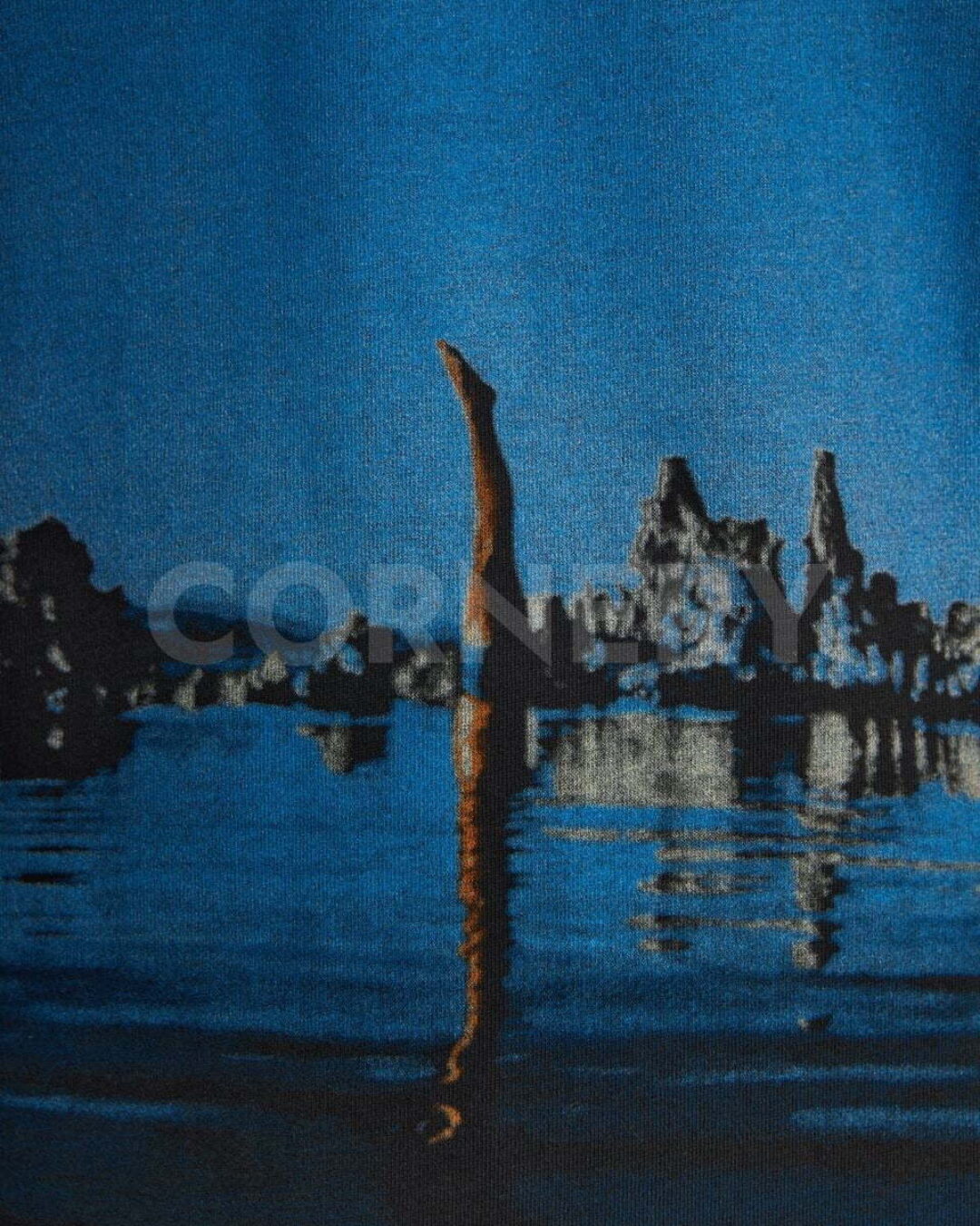 Футболка Winterland Pink Floyd — изображение 10