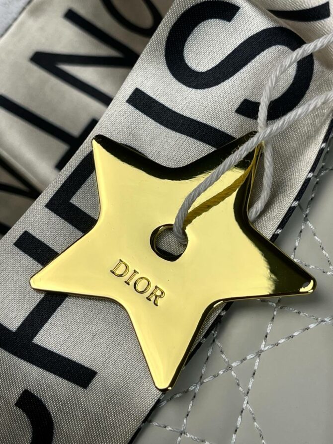 Сумка Lady Dior — изображение 9