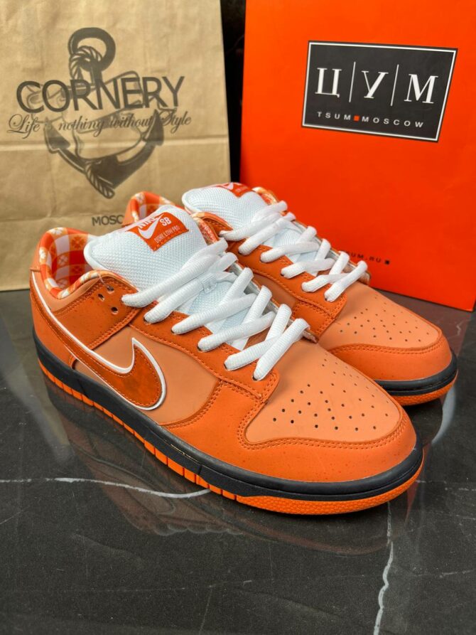 Кеды Nike Concepts X Dunk Low SB Orange Lobster — изображение 8