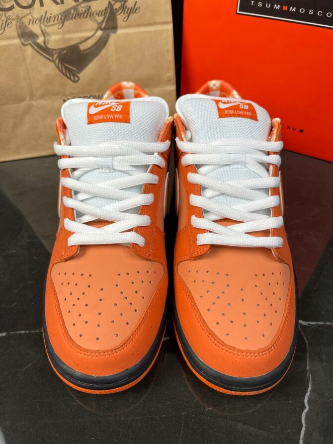 Кеды Nike Concepts X Dunk Low SB Orange Lobster — изображение 9