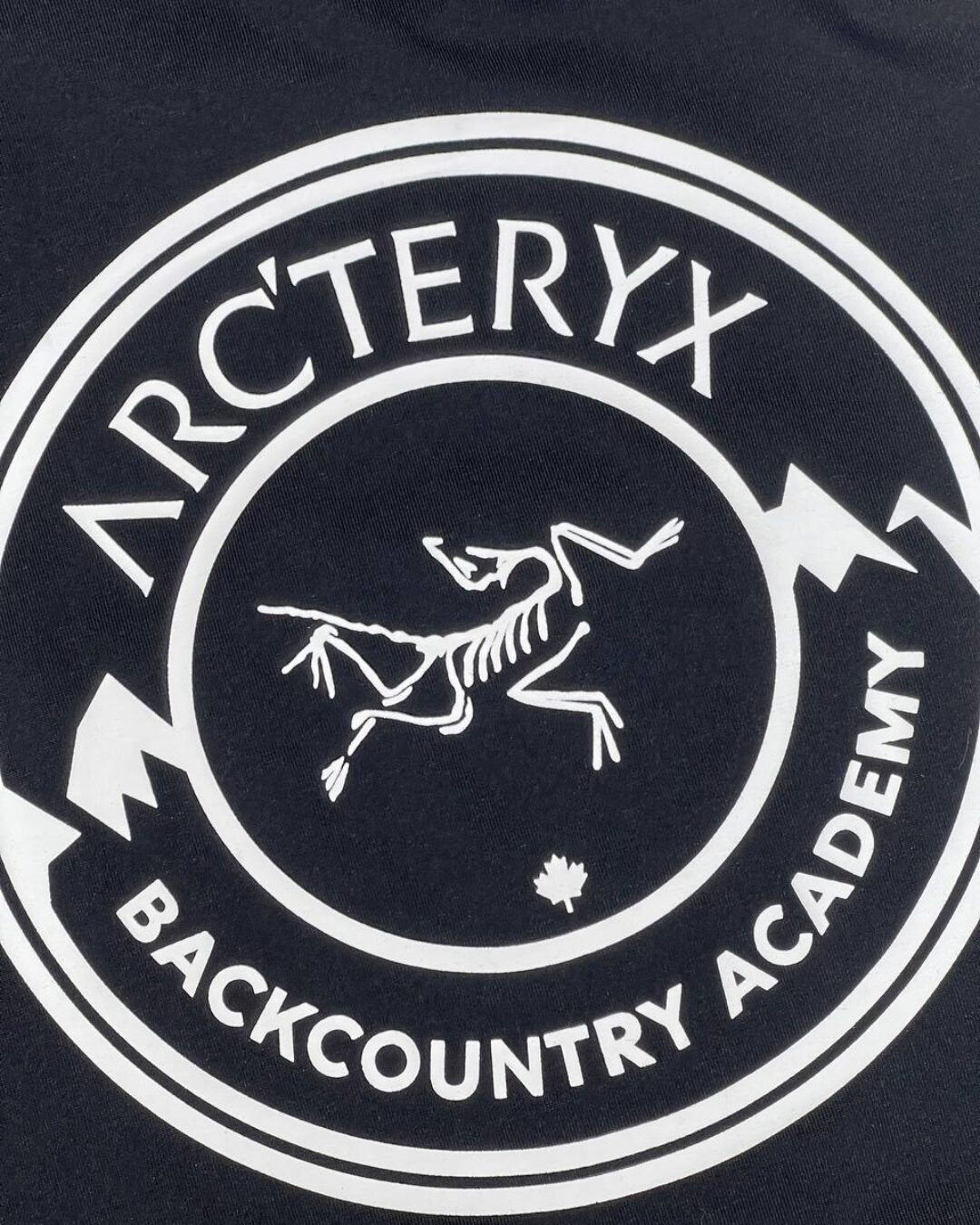 Футболка Arcteryx — изображение 8