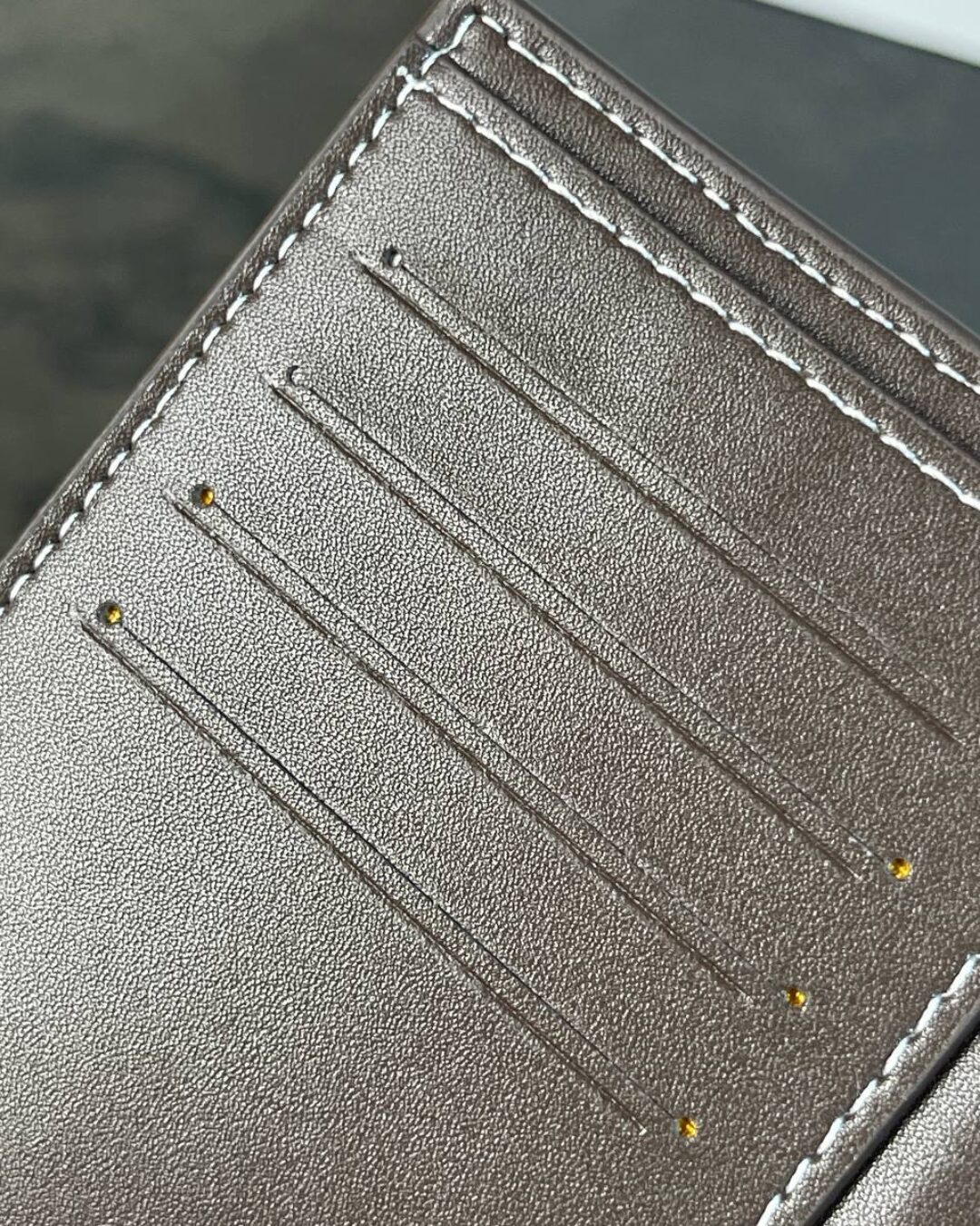 Обложка для паспорта Goyard — изображение 9