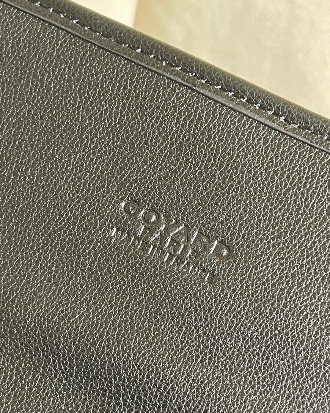 Рюкзак Goyard — изображение 10