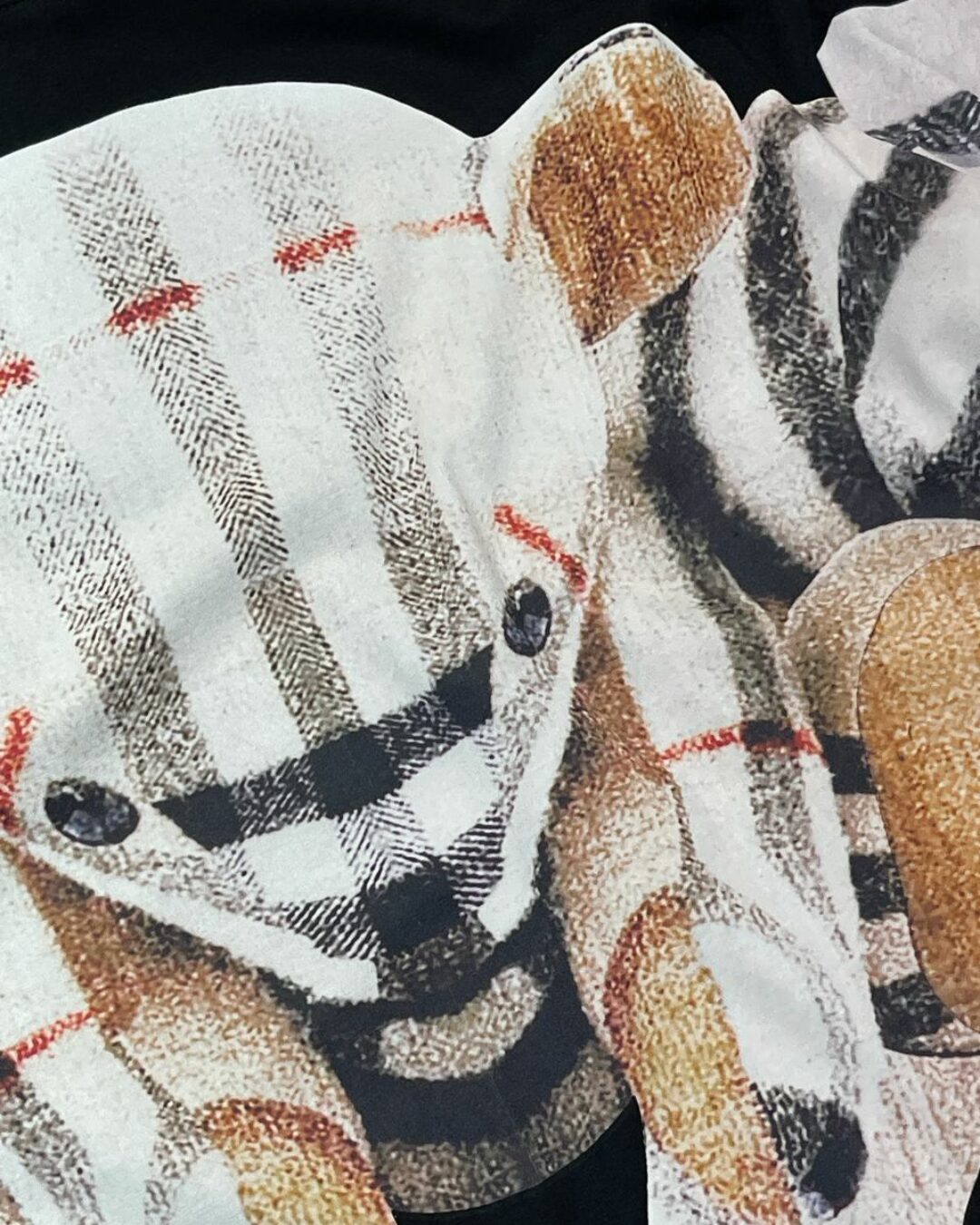 Футболка Burberry — изображение 6