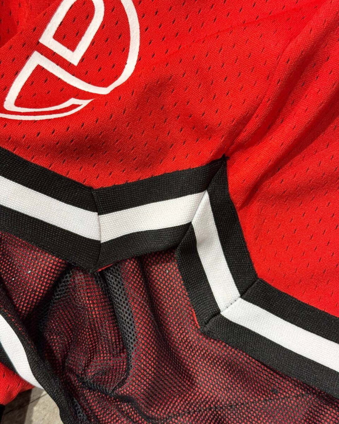 Шорты Rhude — изображение 9