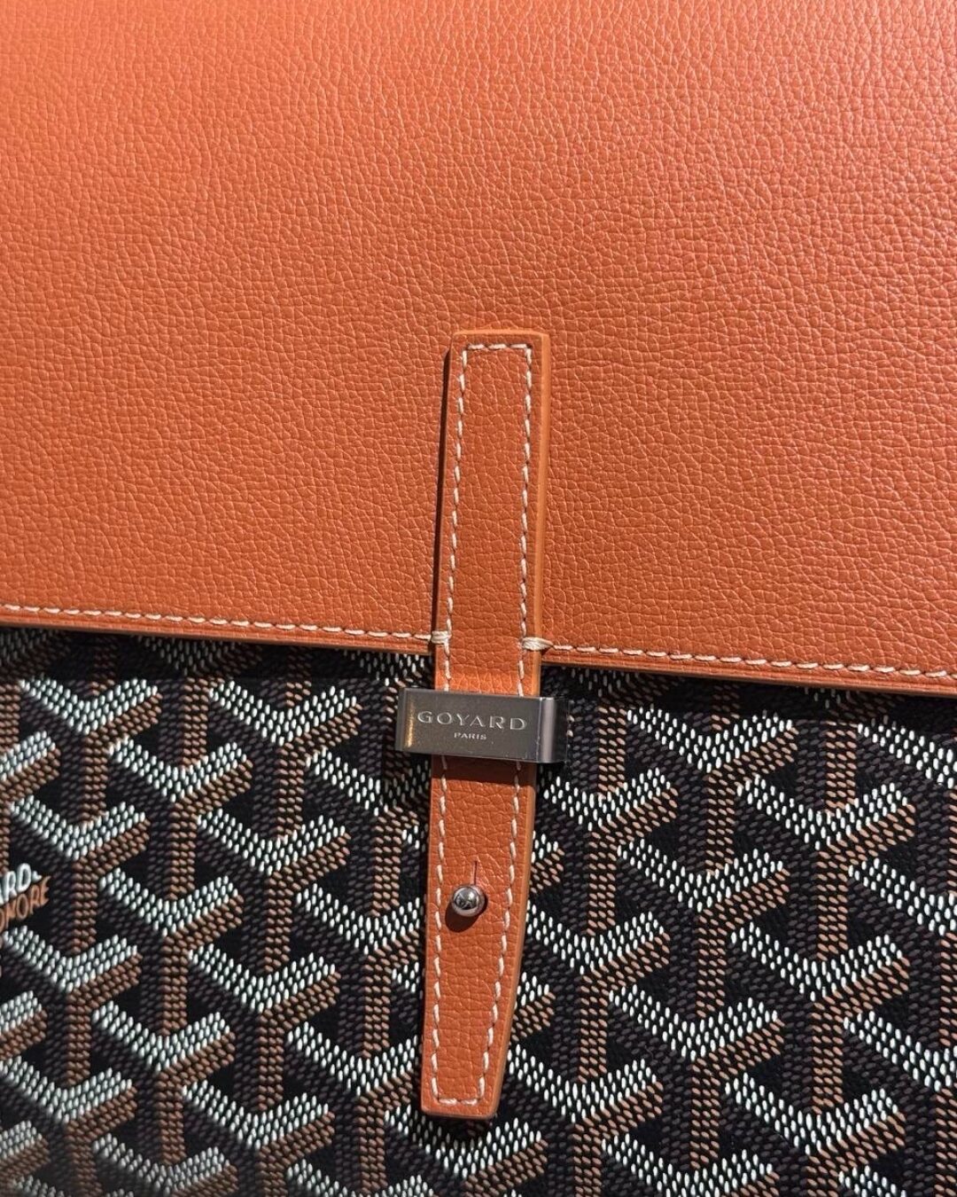 Сумка Goyard Coursier — изображение 4