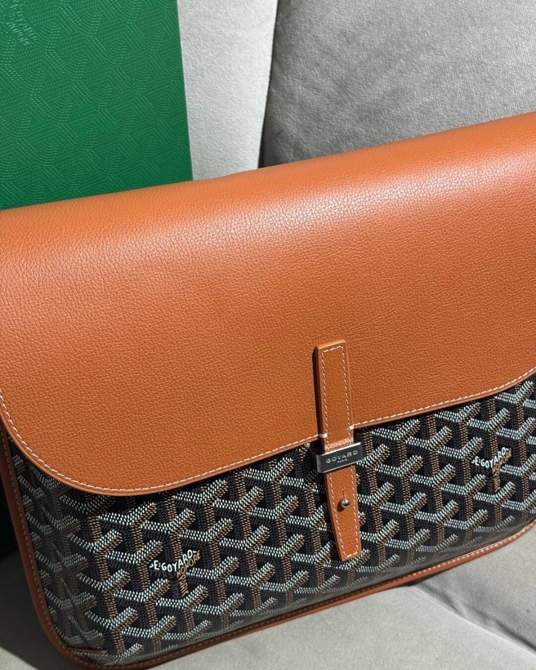 Сумка Goyard Coursier — изображение 9