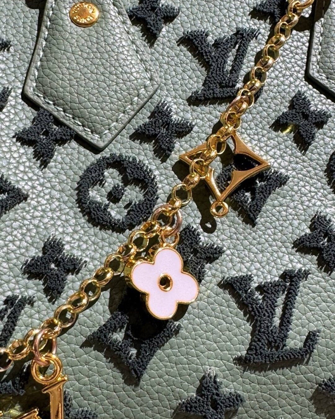 Сумка Louis Vuitton — изображение 5
