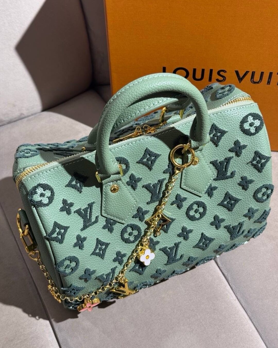 Сумка Louis Vuitton — изображение 2
