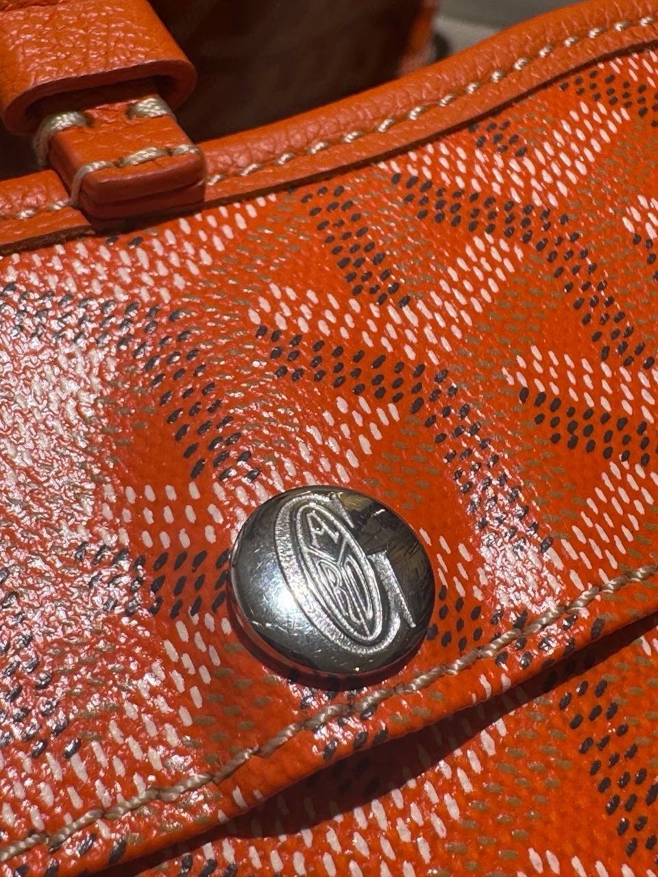 Сумка Goyard Chien Gris Pre-owned — фото 7